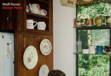 Novi singl Nialla Horana „Dinner Party” već prvog dana dostigao milion strimova na Spotify platformi – Četvrti solo studijski album izlazi 5. juna