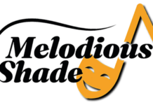 Međunarodni projekat Nisville Fondacije i partnera iz Francuske i Albanije – „Melodična senka“ startuje u Nišu