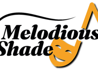 Međunarodni projekat Nisville Fondacije i partnera iz Francuske i Albanije – „Melodična senka“ startuje u Nišu